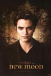 دانلود فیلم Twilight 2 2009 گرگ و میش 2