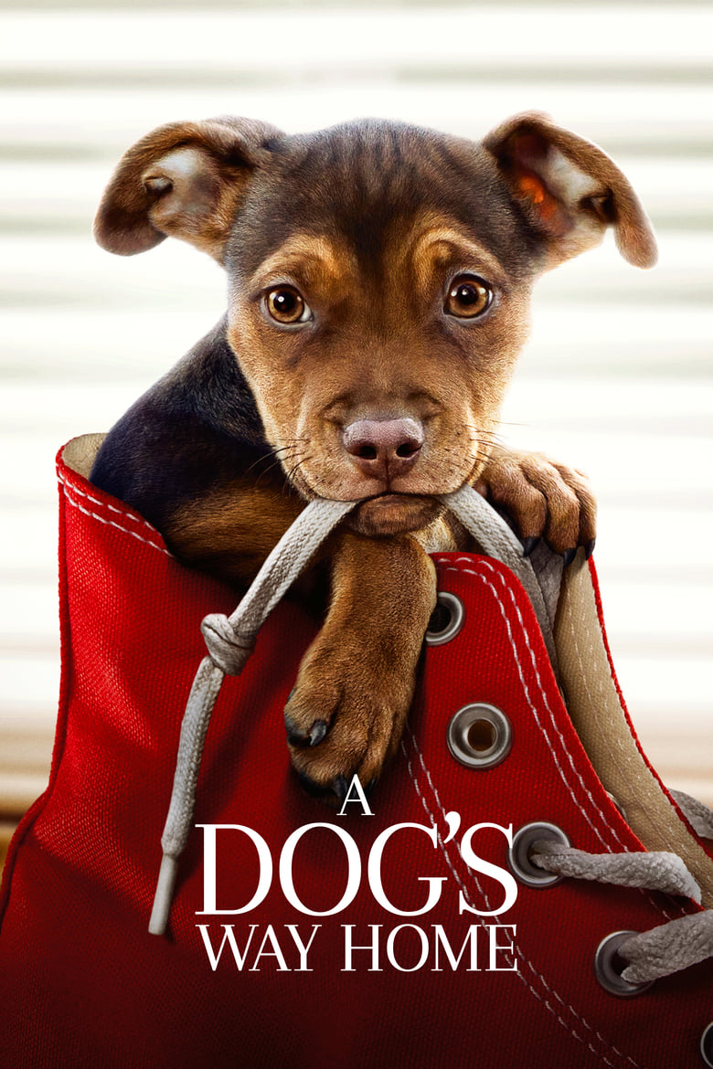 دانلود فیلم A Dog’s Way Home 2019 مسیر بازگشت یک سگ به خانه